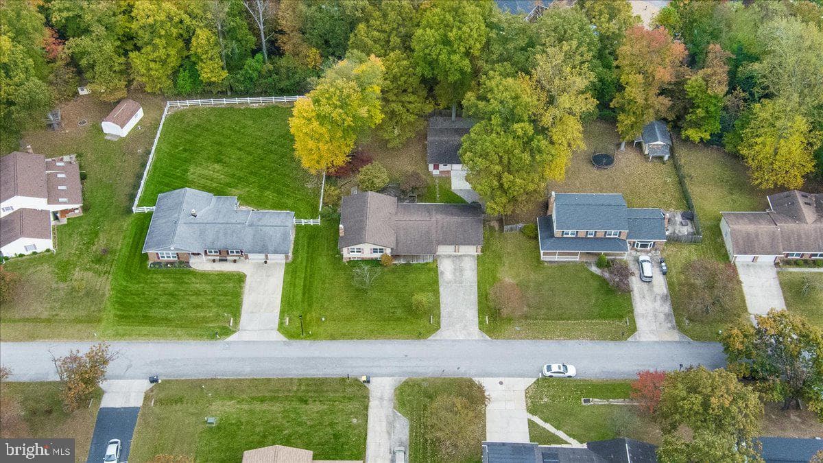 6601 Facchina Lane photo 61