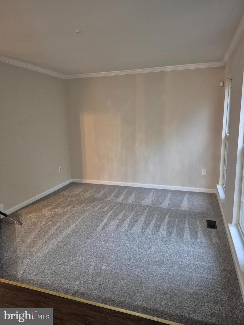 7006 Chain Fern Court photo 3