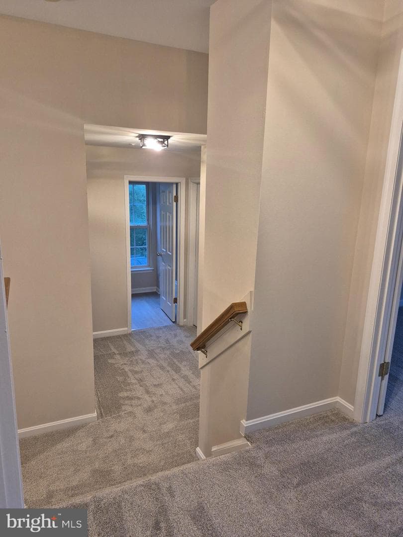 7006 Chain Fern Court photo 8
