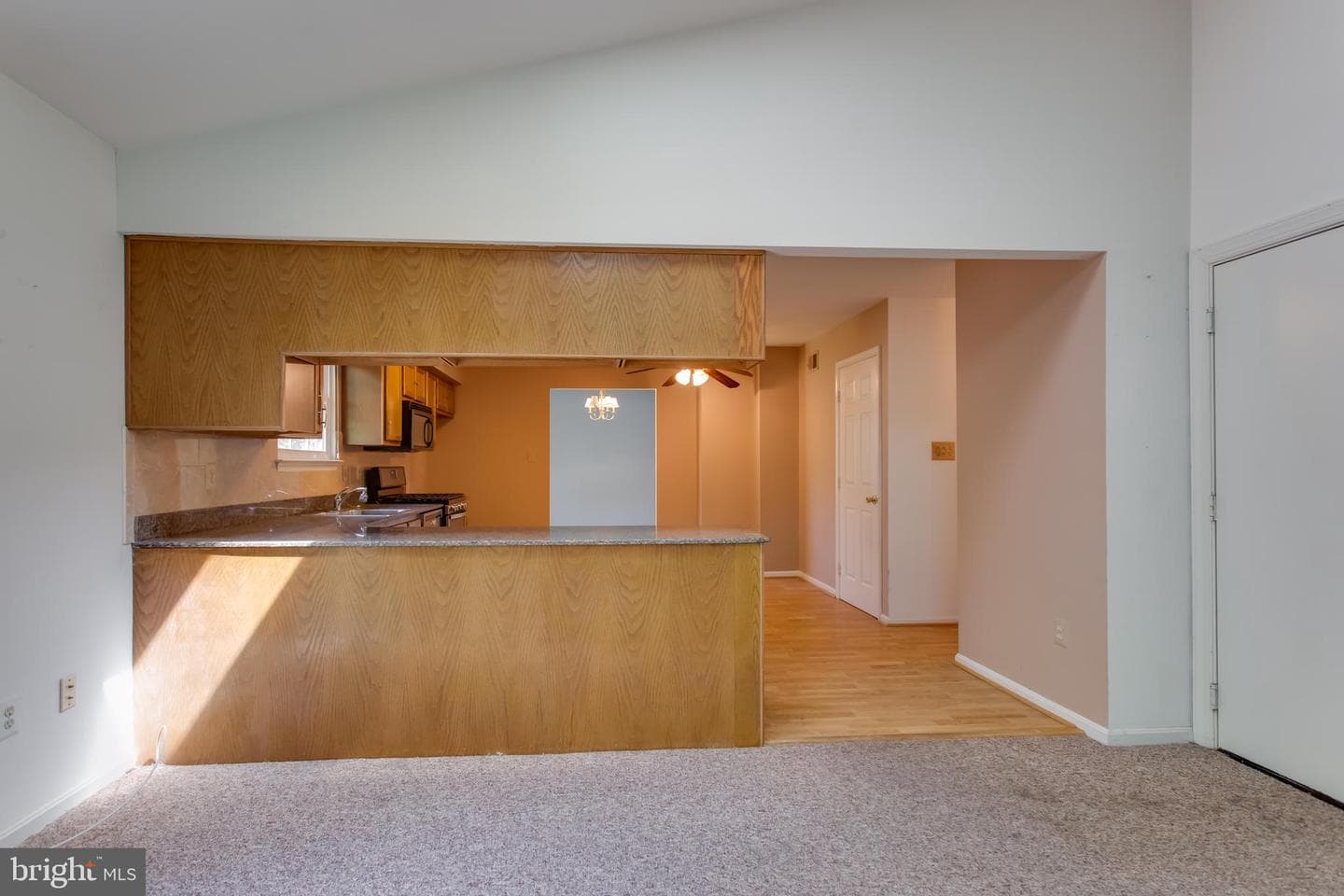 10703 Moray Court photo 11