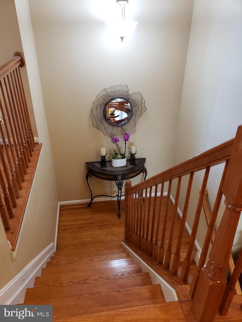 13920 Chadsworth Terrace photo 49