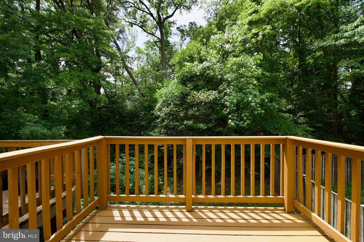 10303 Broom Lane photo 23