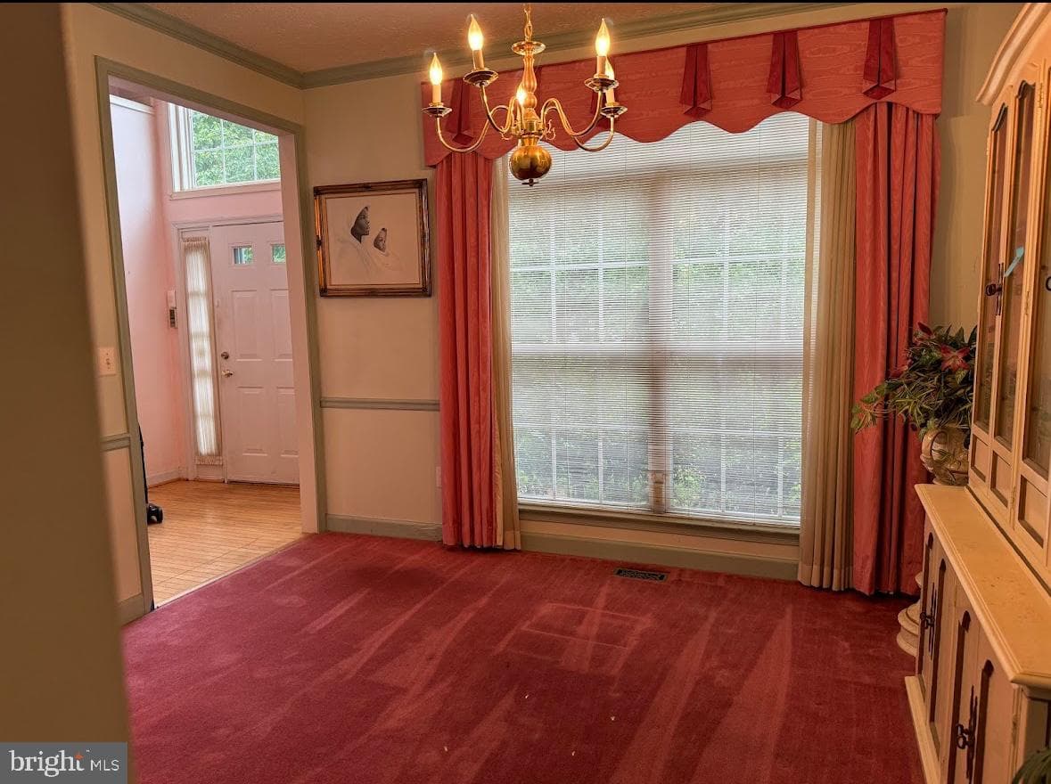 1803 Aragona Boulevard photo 14