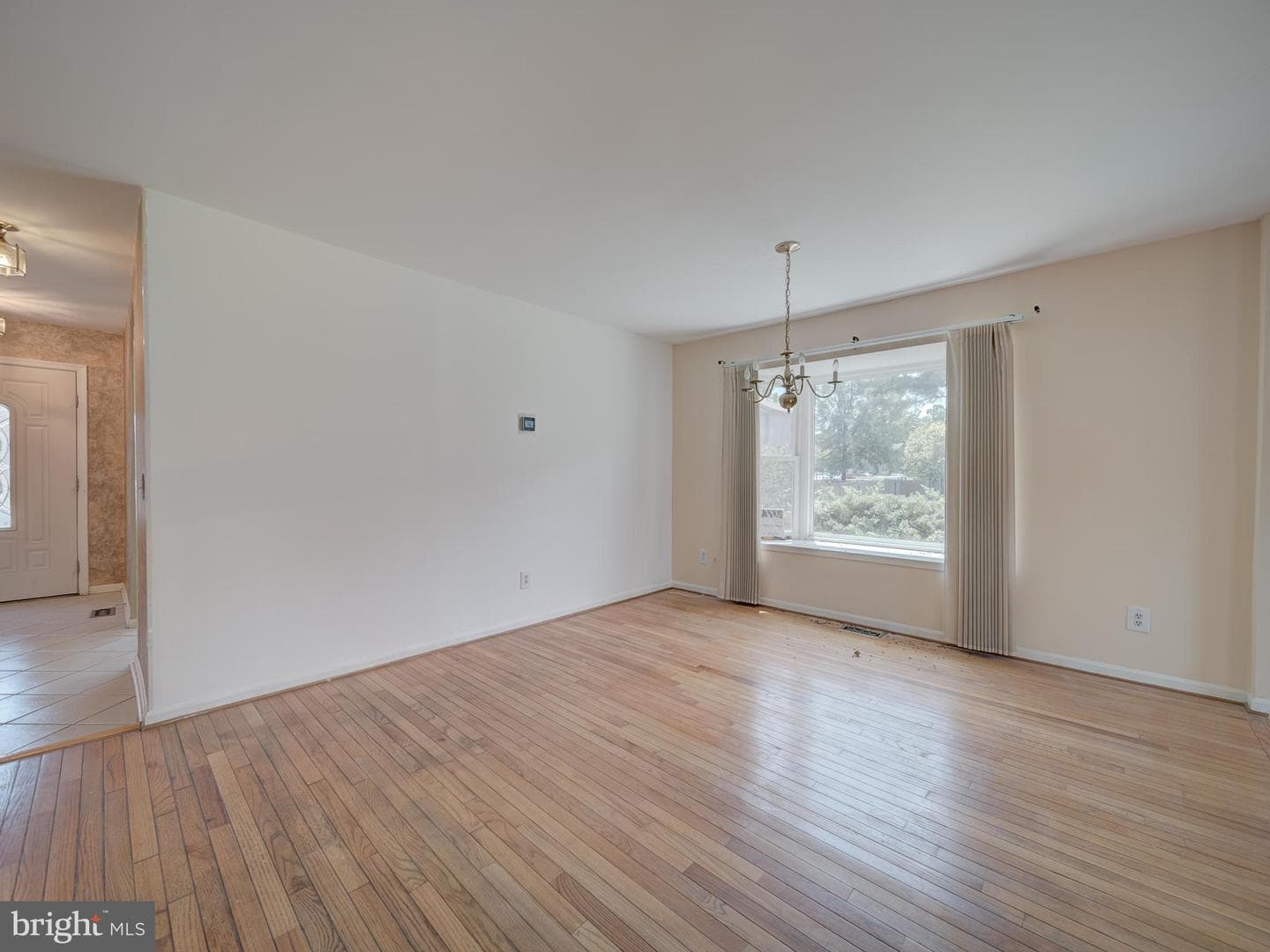 10512 Storch photo 15