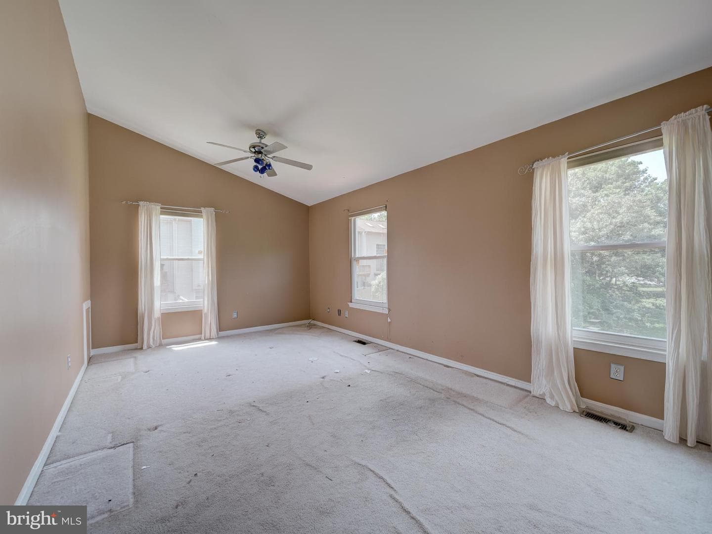 10512 Storch photo 21