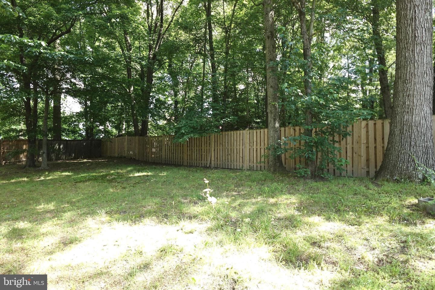 8307 Satinleaf Court photo 50