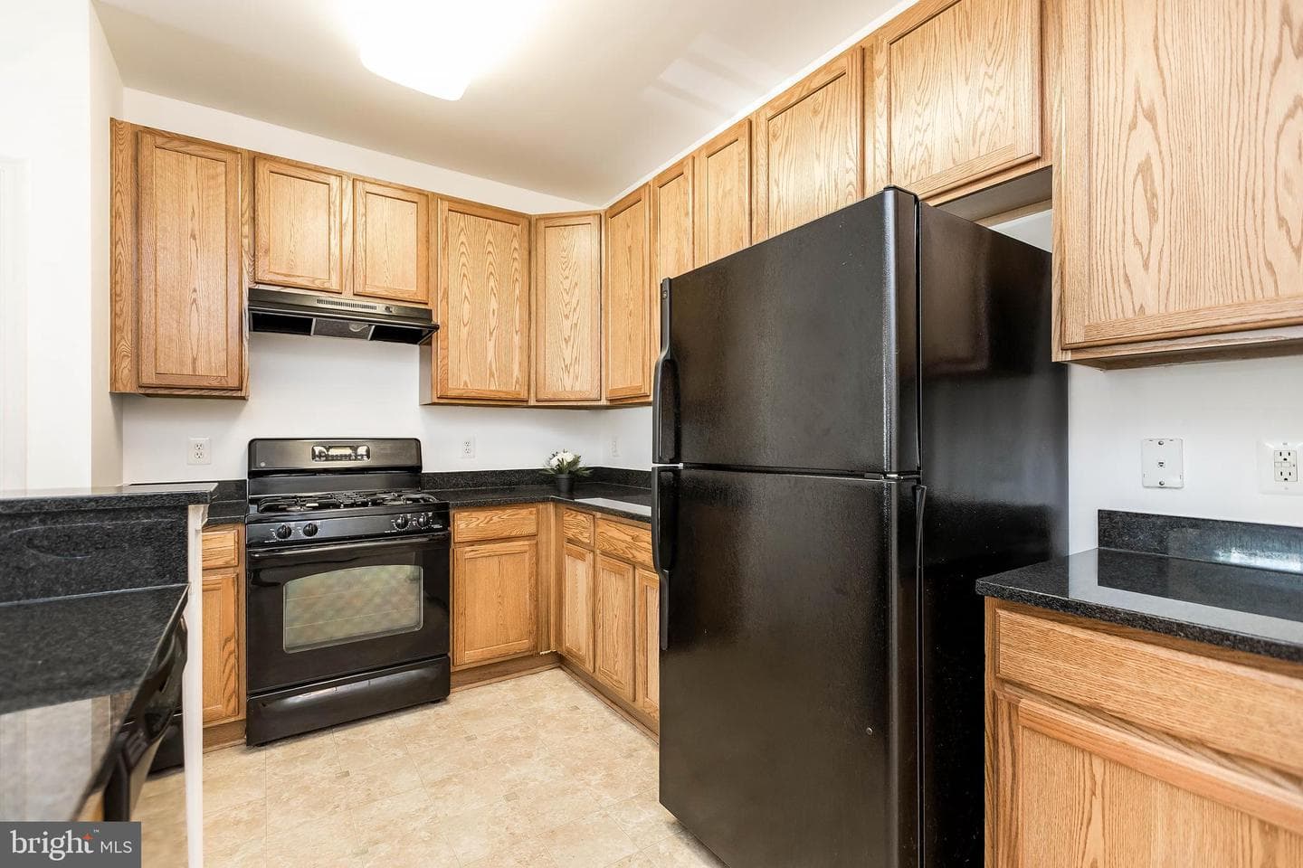 1311 Karen Boulevard #208 photo 5