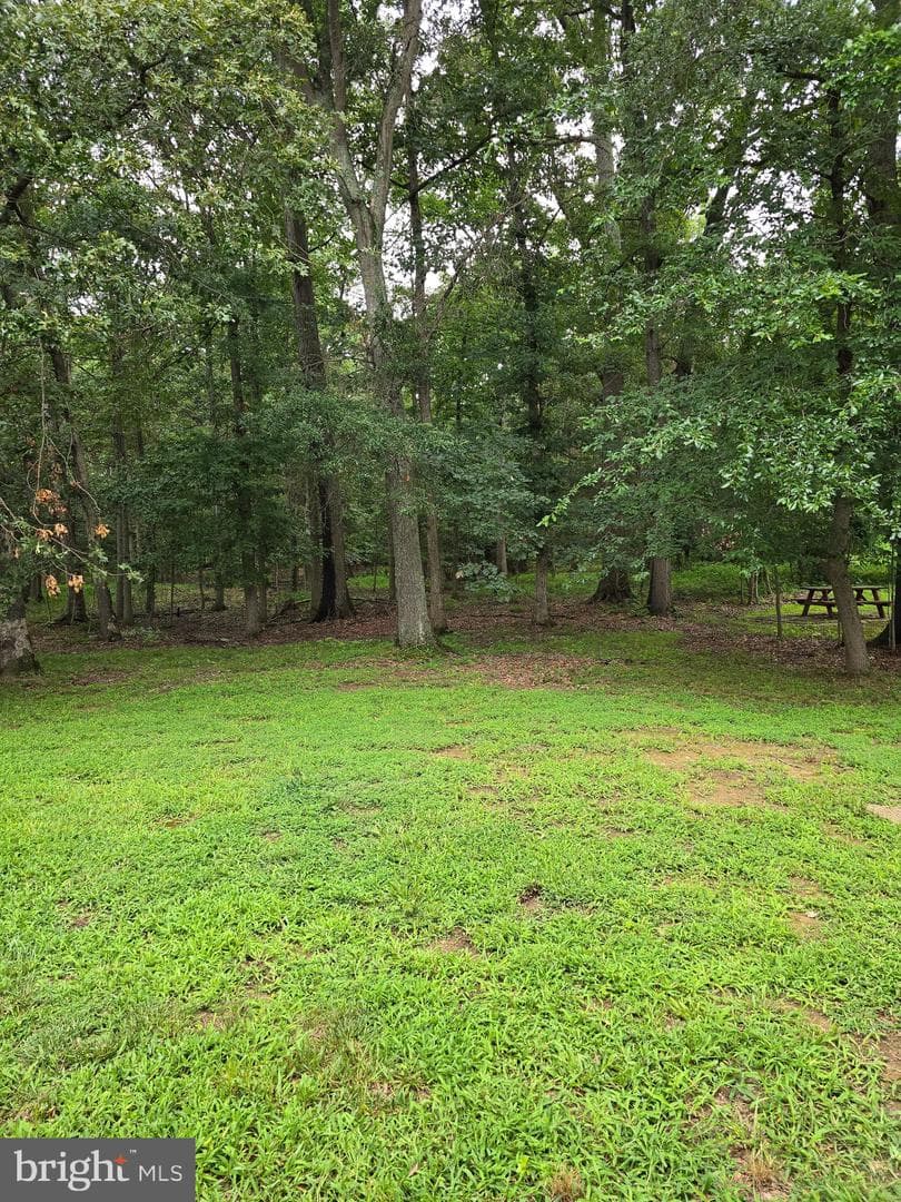 11965 Autumnwood Lane photo 31