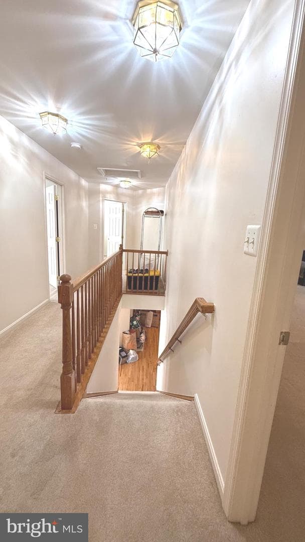 10200 Rock Oak Terrace photo 33