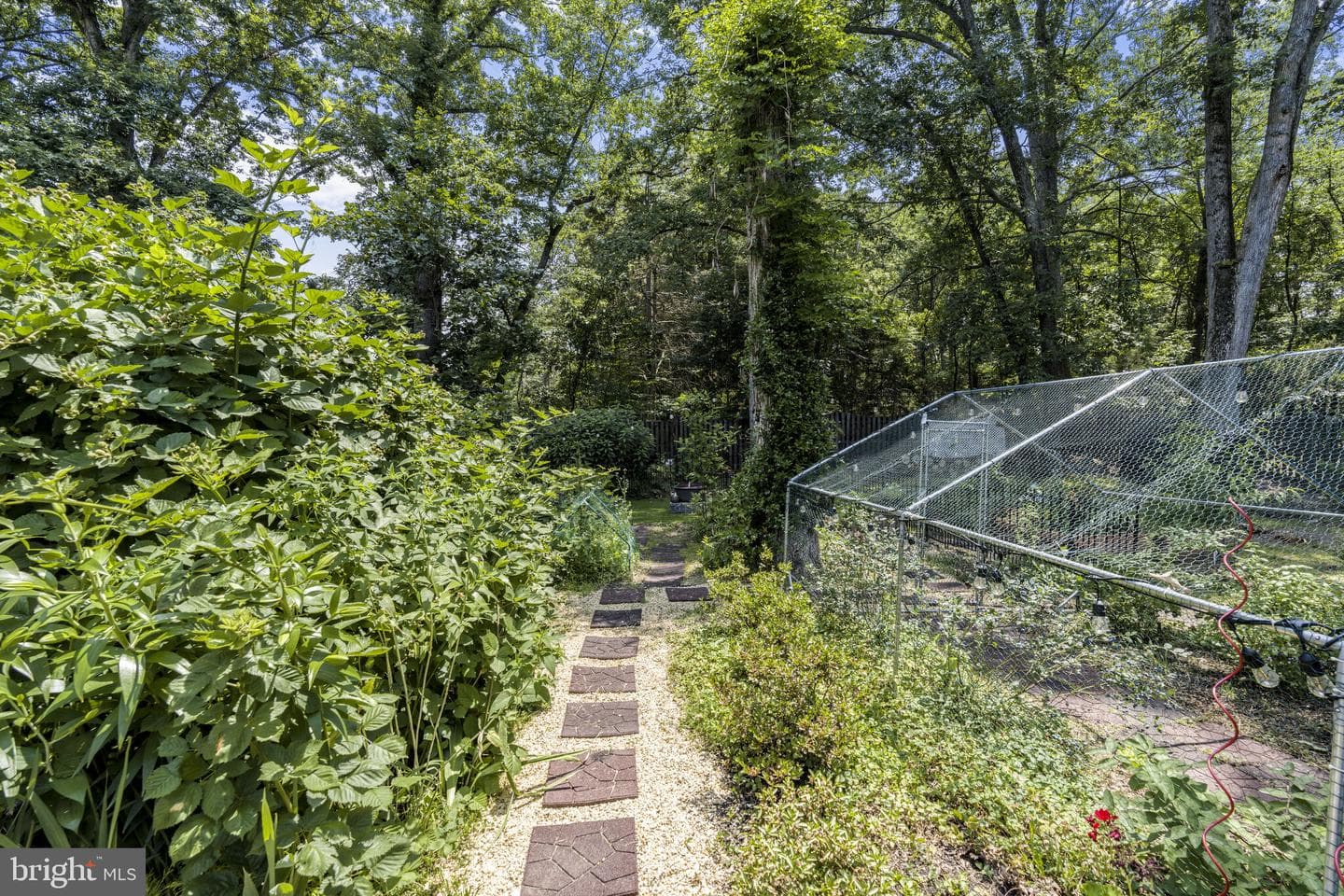 11806 Kimberly Woods Lane photo 34