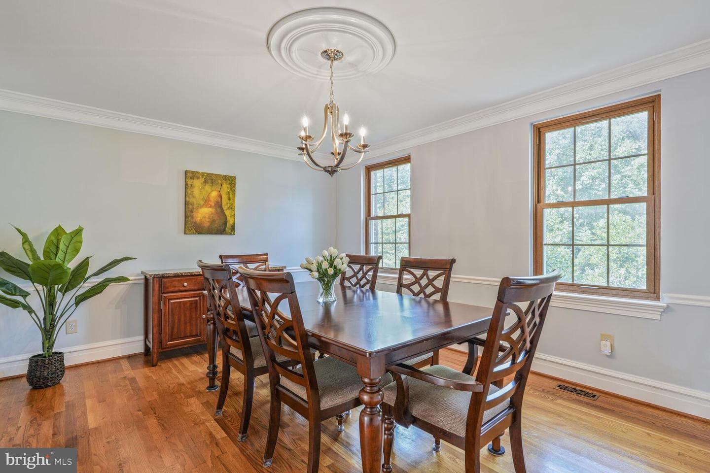 11806 Kimberly Woods Lane photo 4