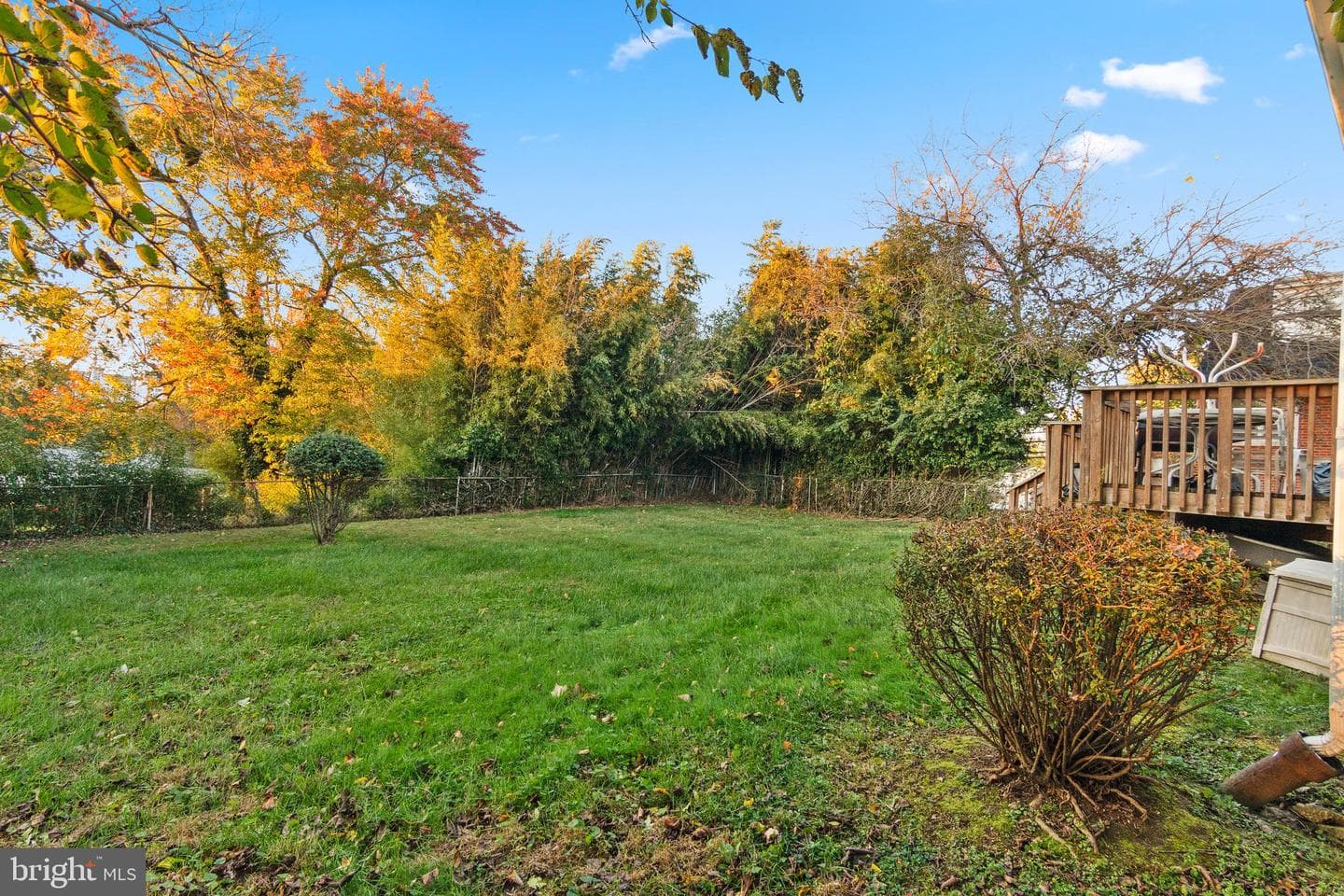 6602 8th Avenue photo 6