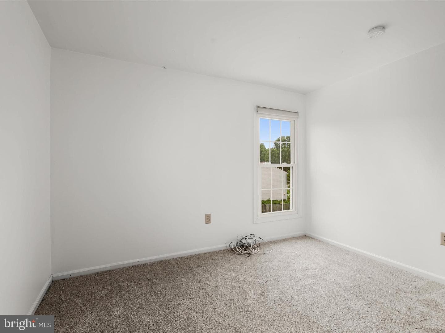 10316 Balsamwood Court photo 29