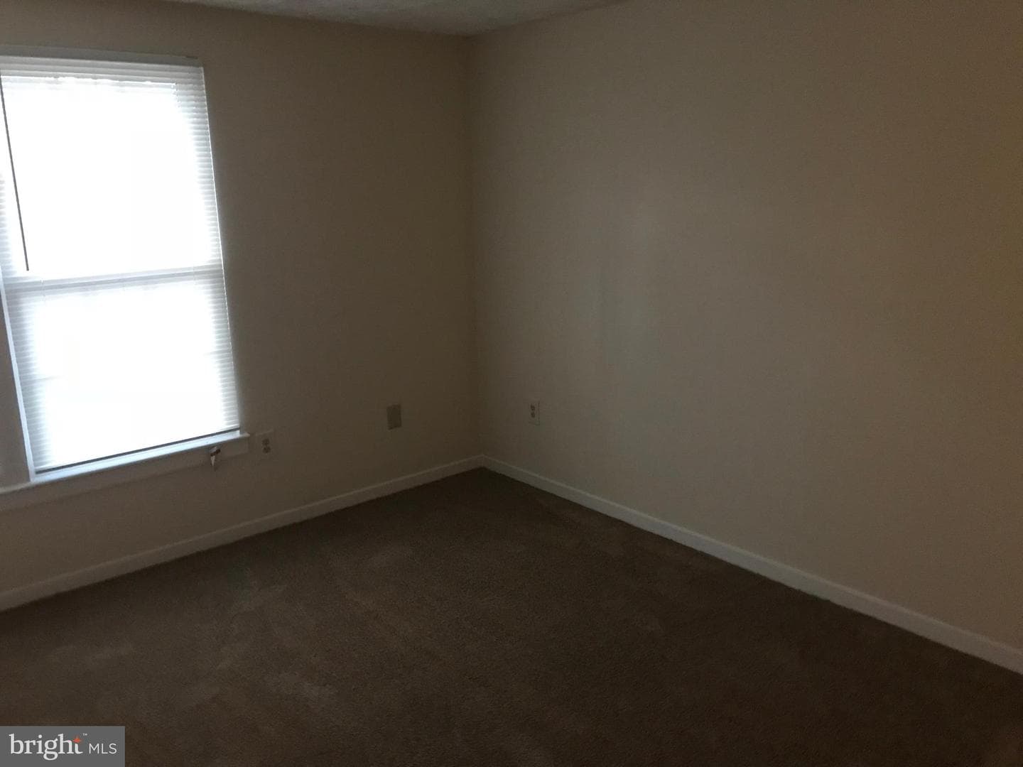 426 Shady Glen Drive photo 15