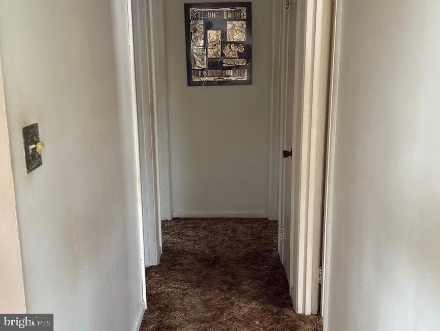 509 Abel Avenue photo 17