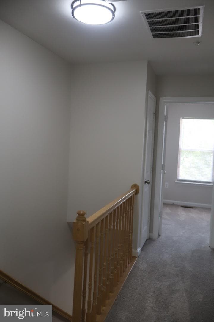 11565 Dunloring Drive photo 11