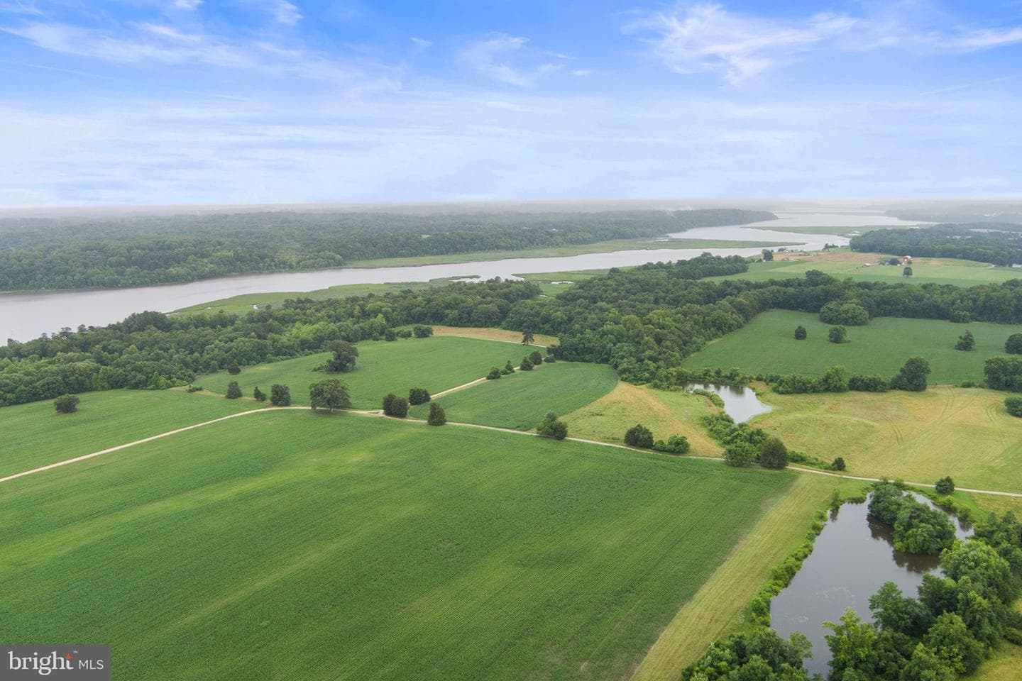 10007 Croom Road photo 126