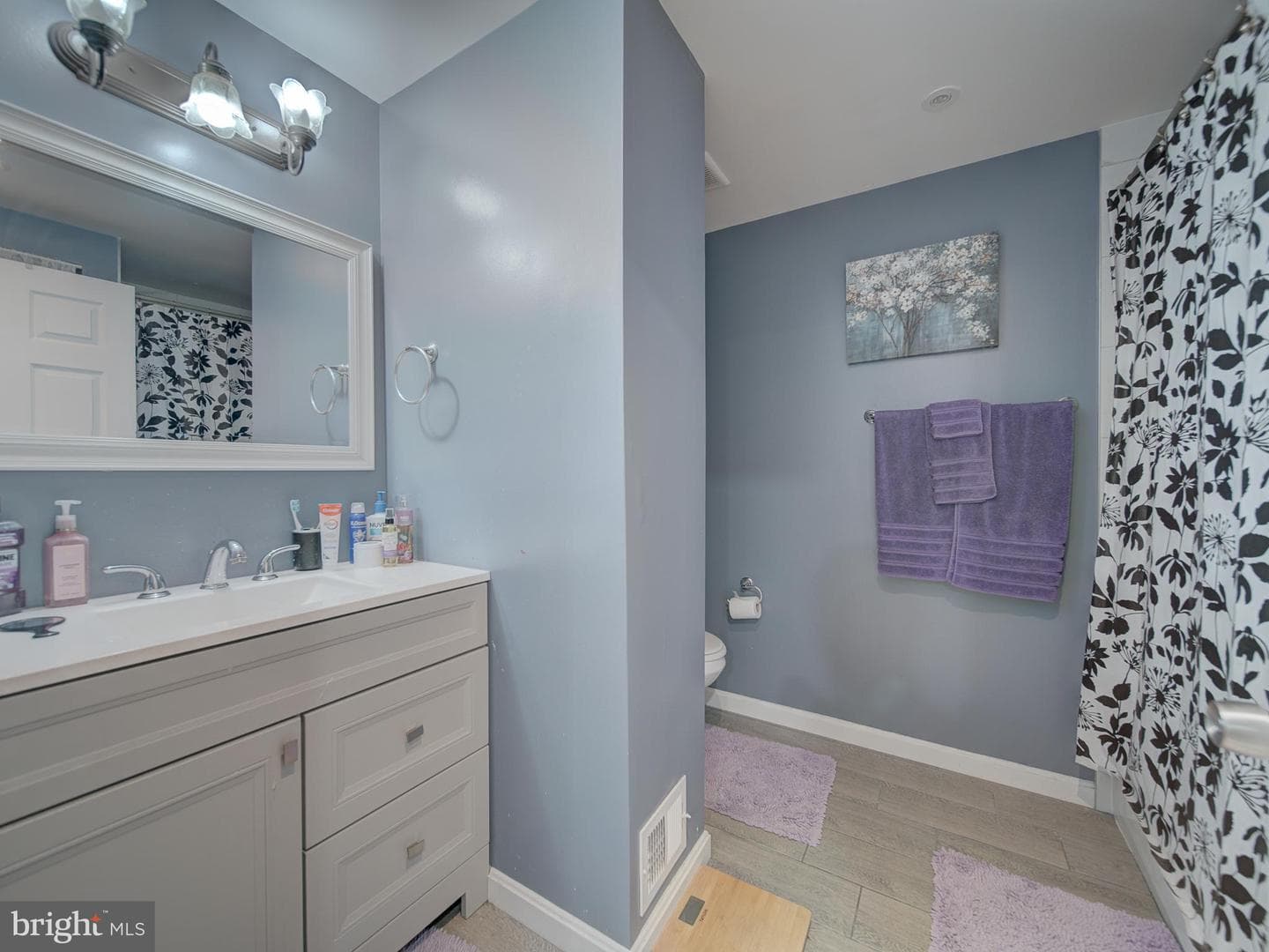 8610 Monmouth Drive photo 45