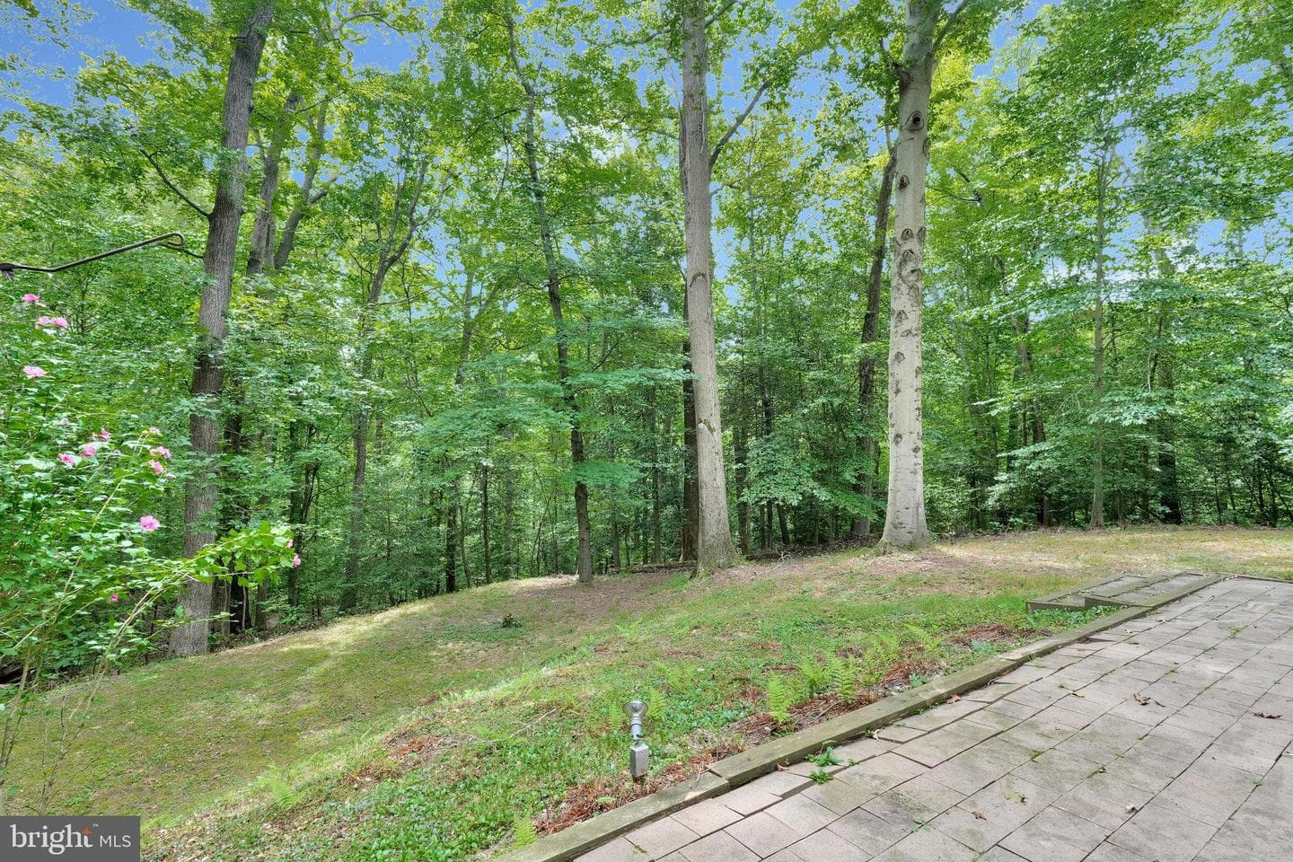 2311 Rockwood Road photo 71