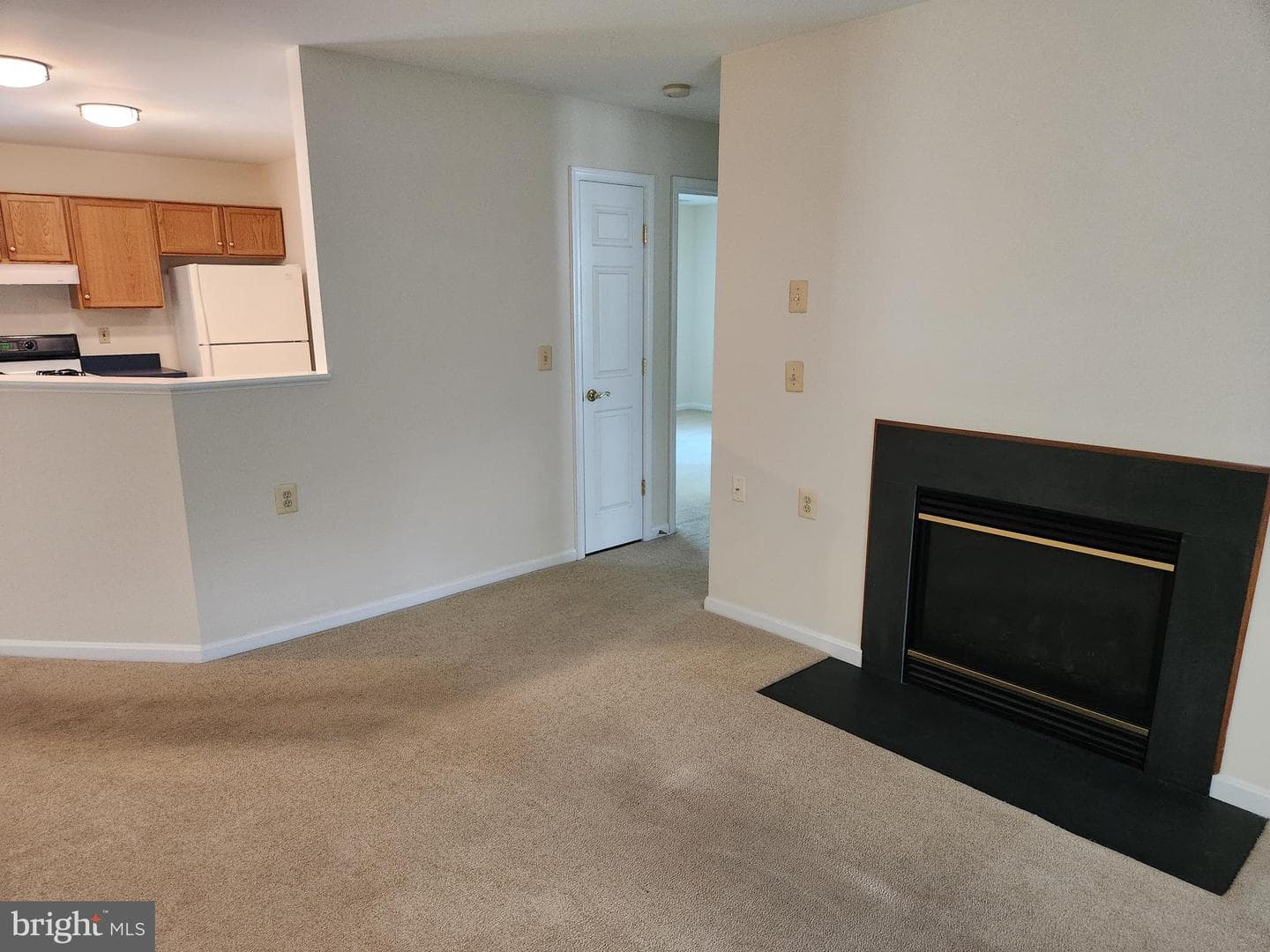 7412 Berryleaf Drive photo 4