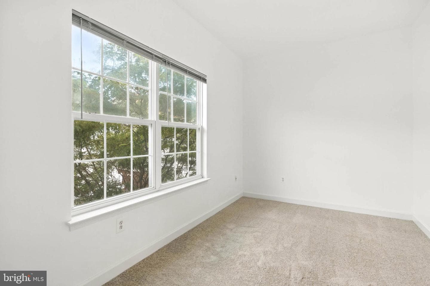 525 Garrett A Morgan Boulevard photo 17