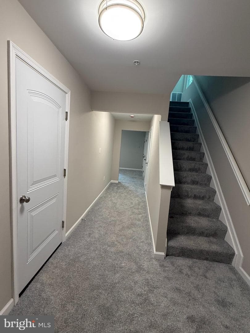 9906 Doubletree Terrace photo 8