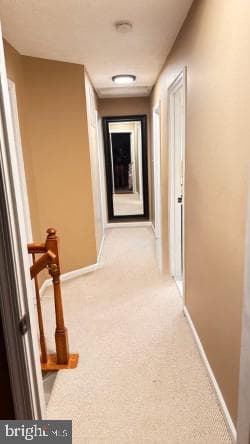 13300 Burleigh Street photo 7