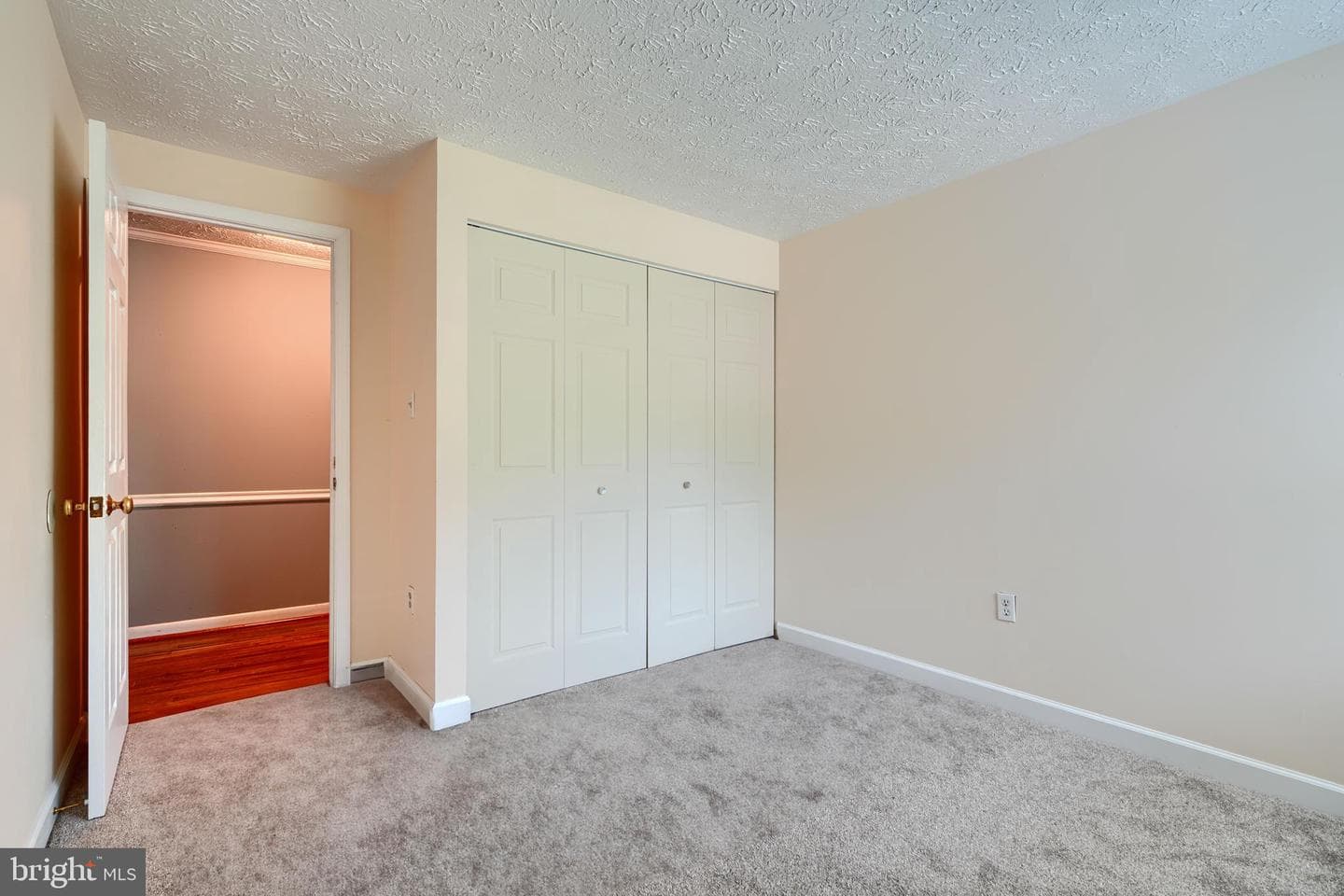 10808 Timberline Drive photo 13