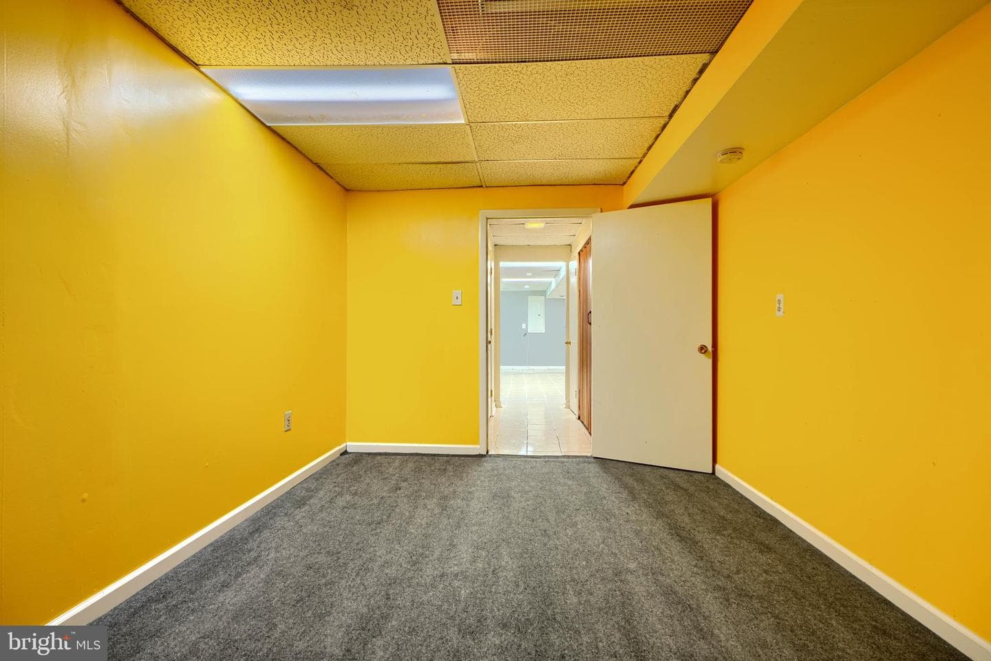 10808 Timberline Drive photo 57