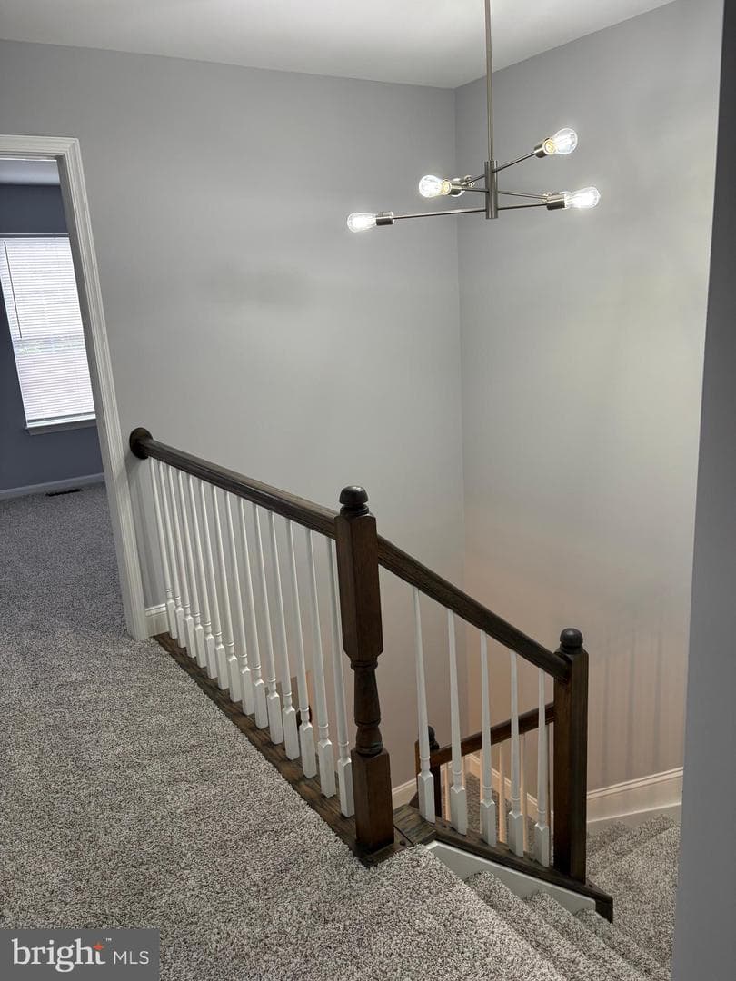 7300 Flag Harbor Drive photo 20