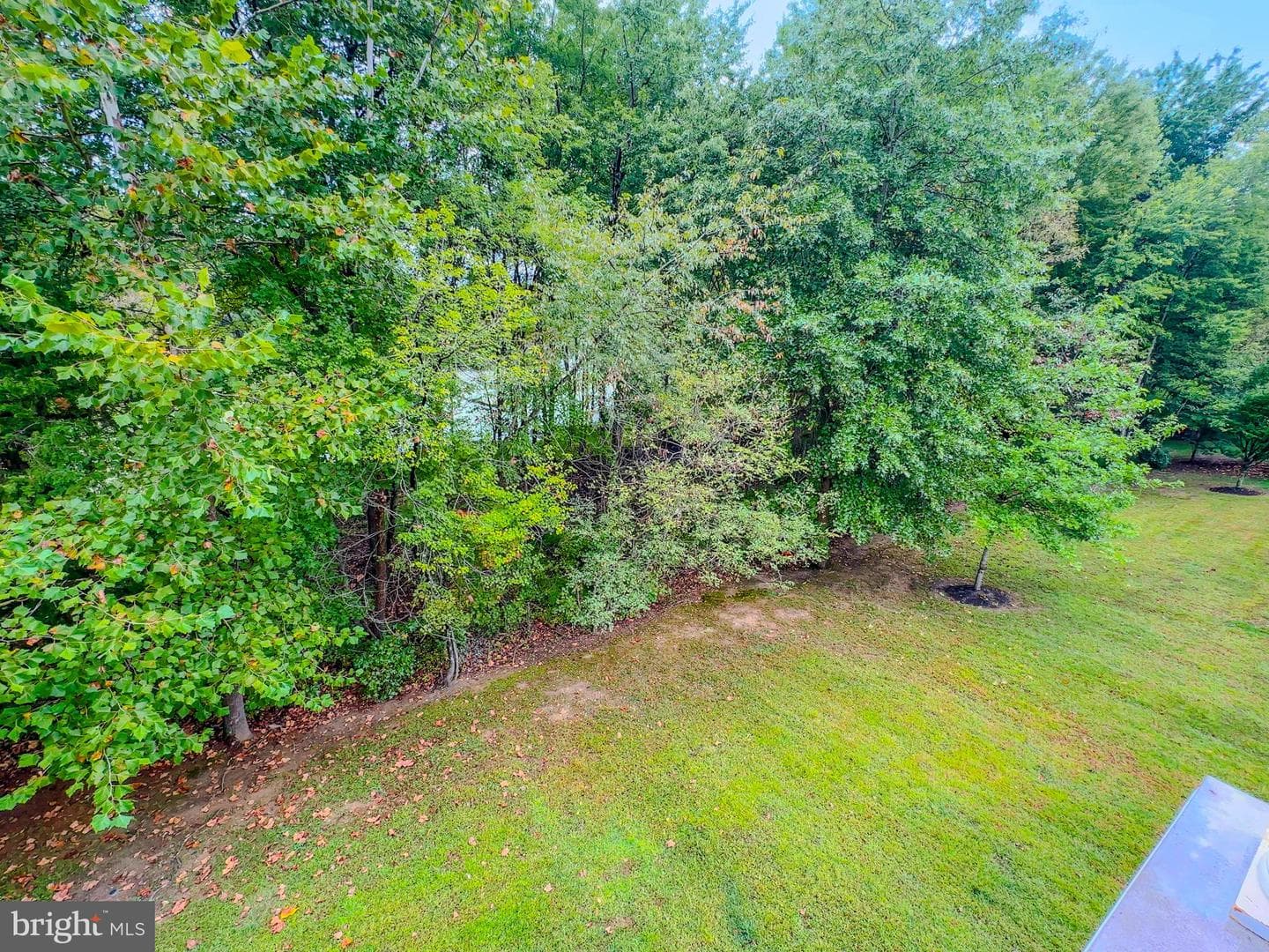 13500 Mary Bowie Parkway photo 67