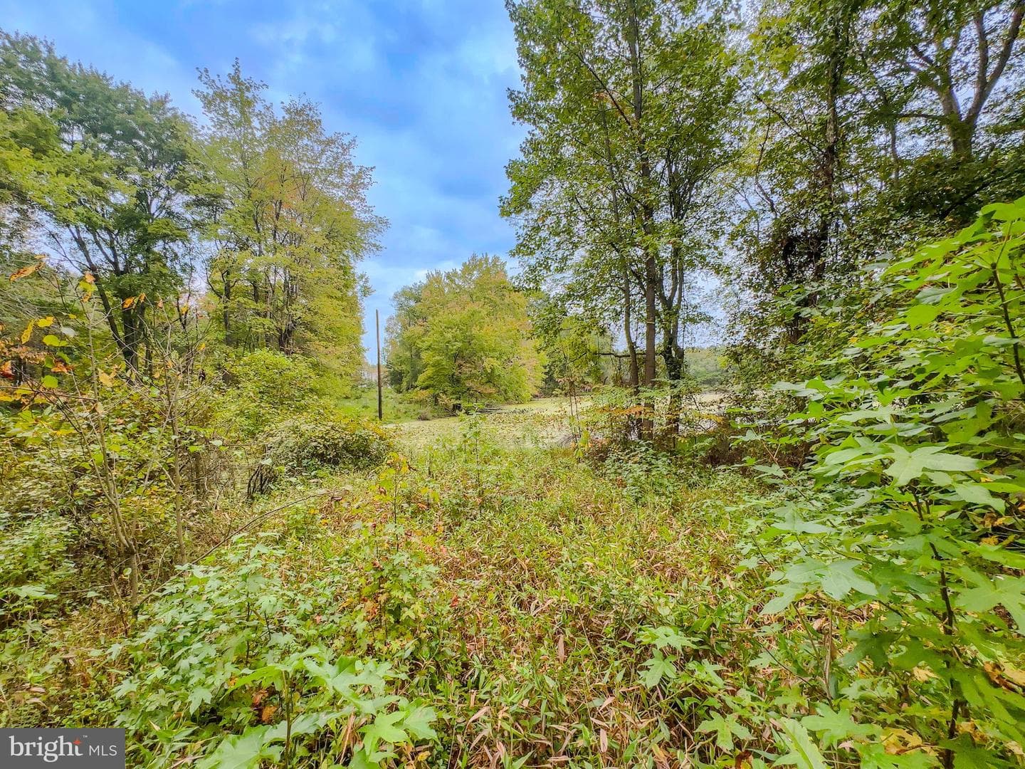 13500 Mary Bowie Parkway photo 68
