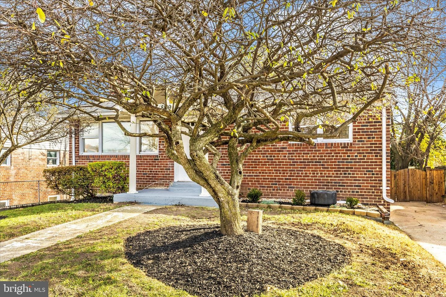 8109 Riggs Road photo 39