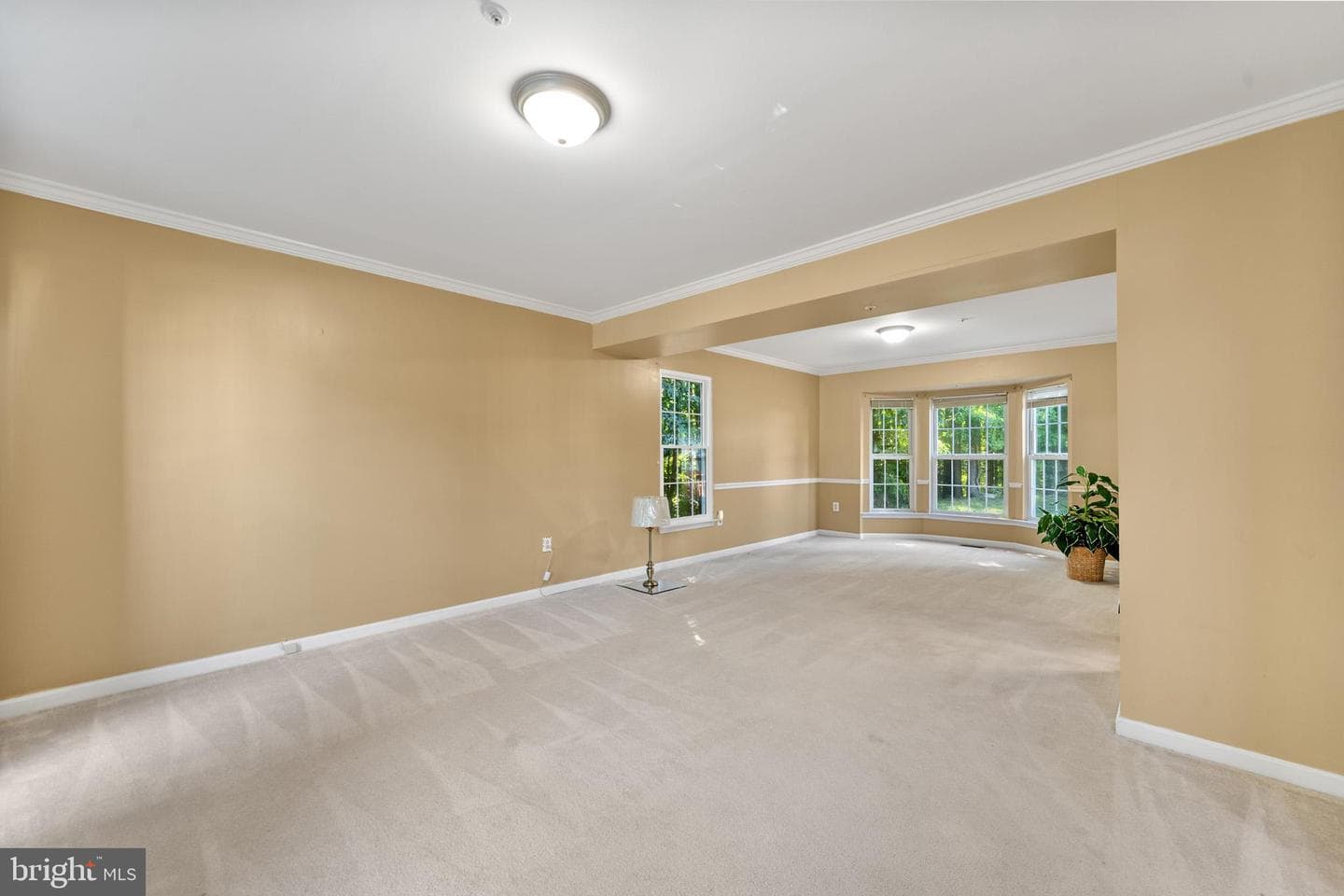 7001 Chain Fern Court photo 13