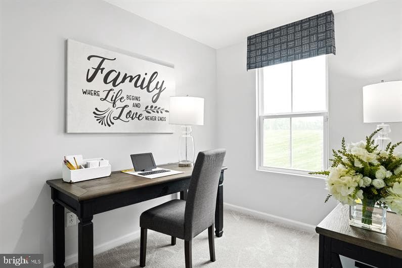 4709 Cooks Hill Court #39 To Be Built Cedar photo 10