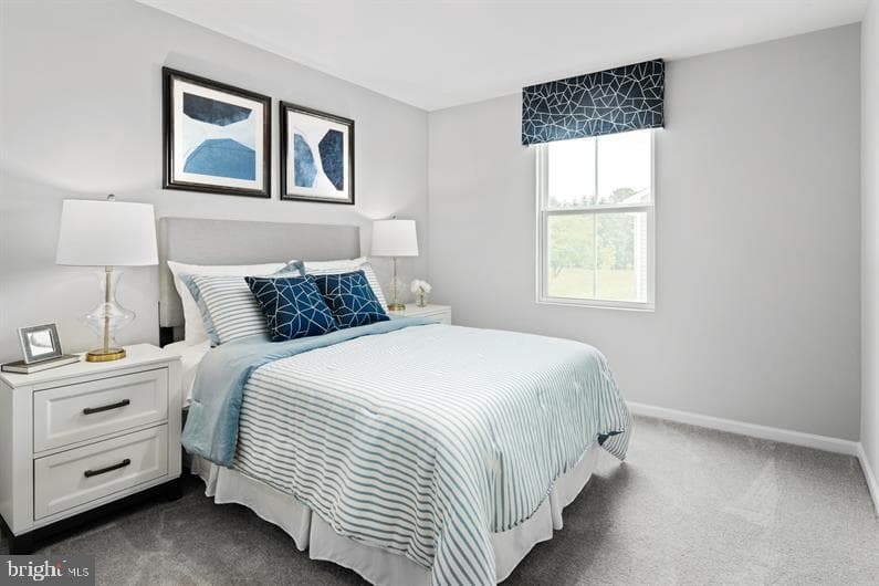 4709 Cooks Hill Court #39 To Be Built Cedar photo 15
