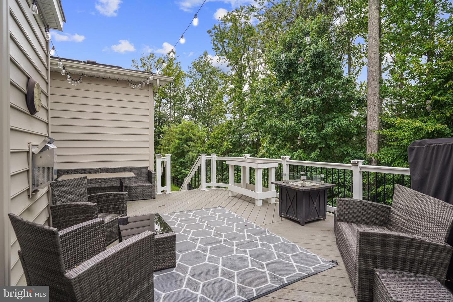 15418 Finchingfield Way photo 42