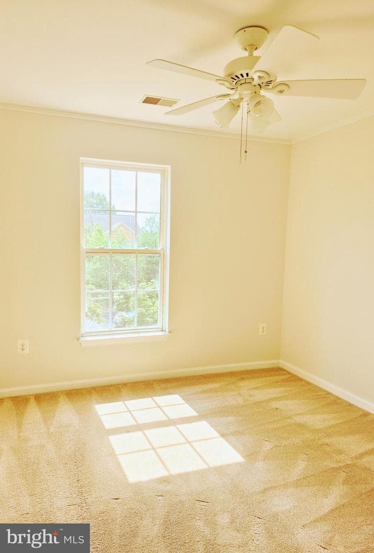 6404 Landing Way photo 16