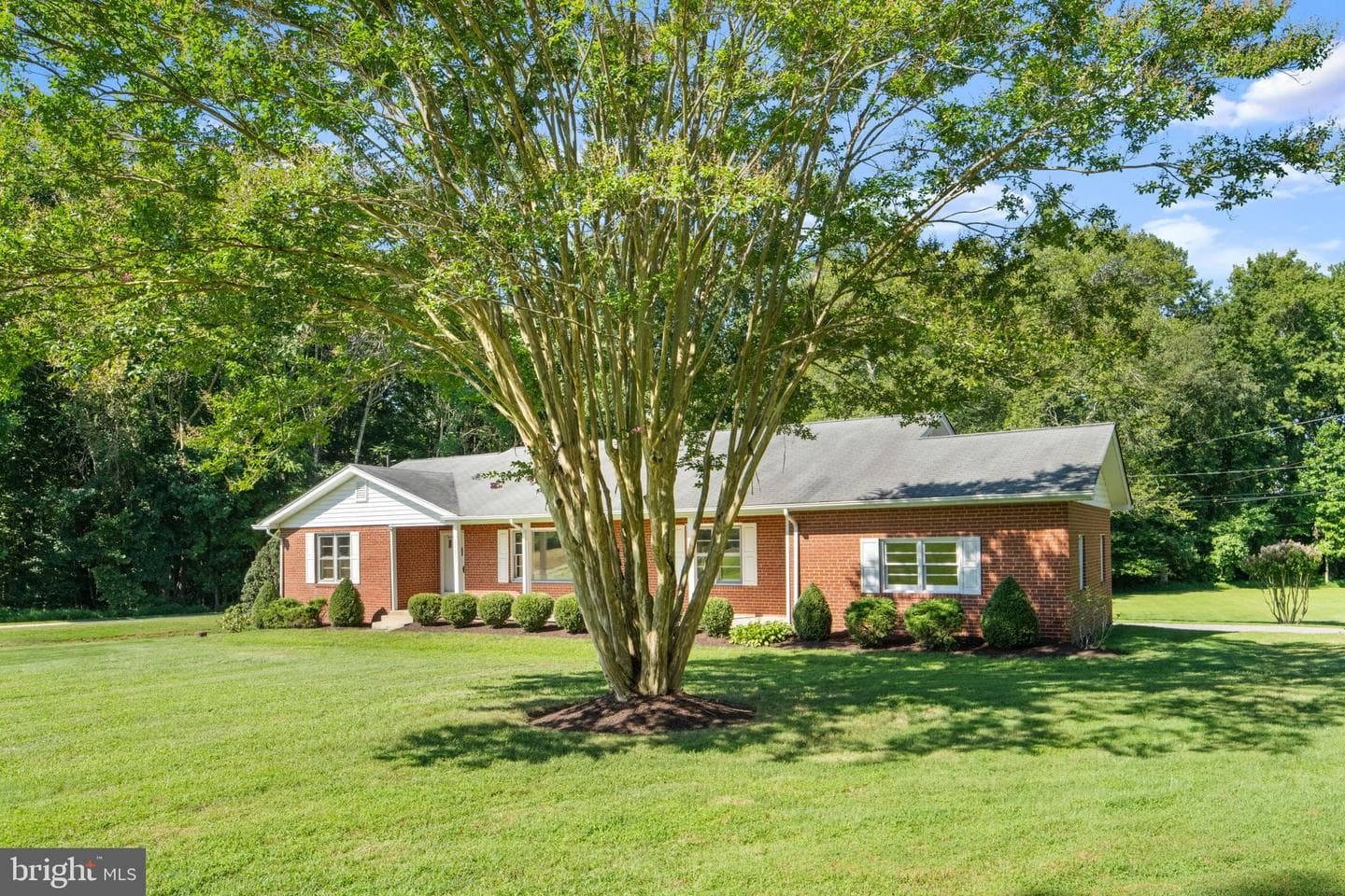 11401 Croom Road photo 3