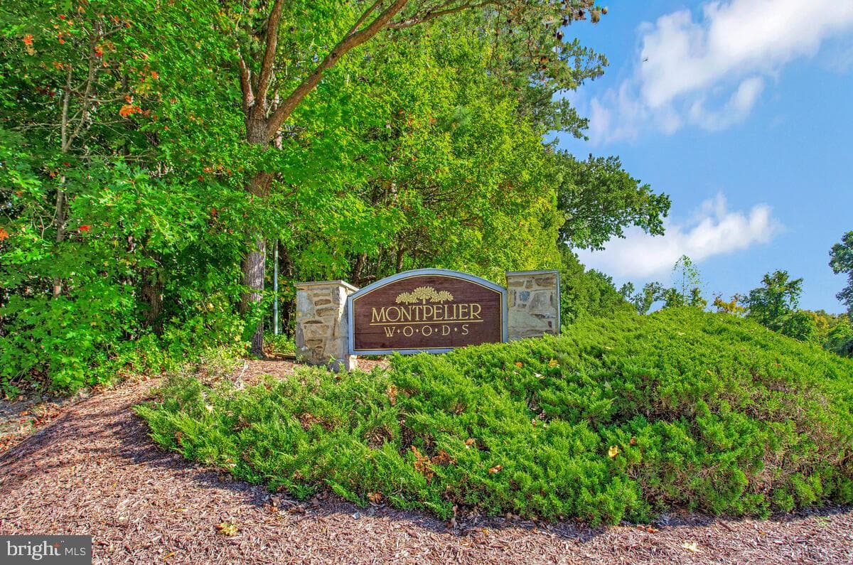 11220 Basswood Terrace photo 40