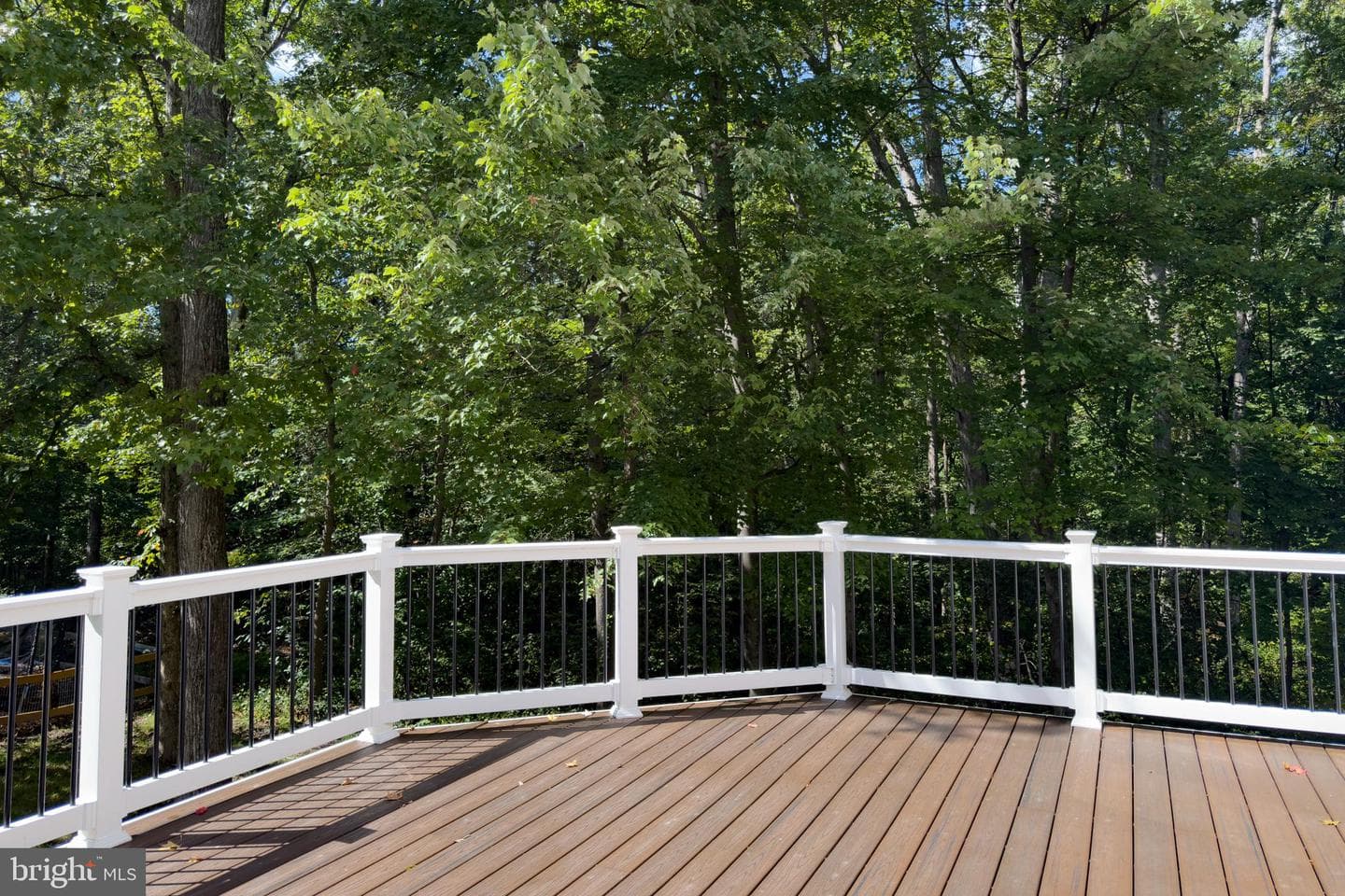 8424 Oak Stream Drive photo 48