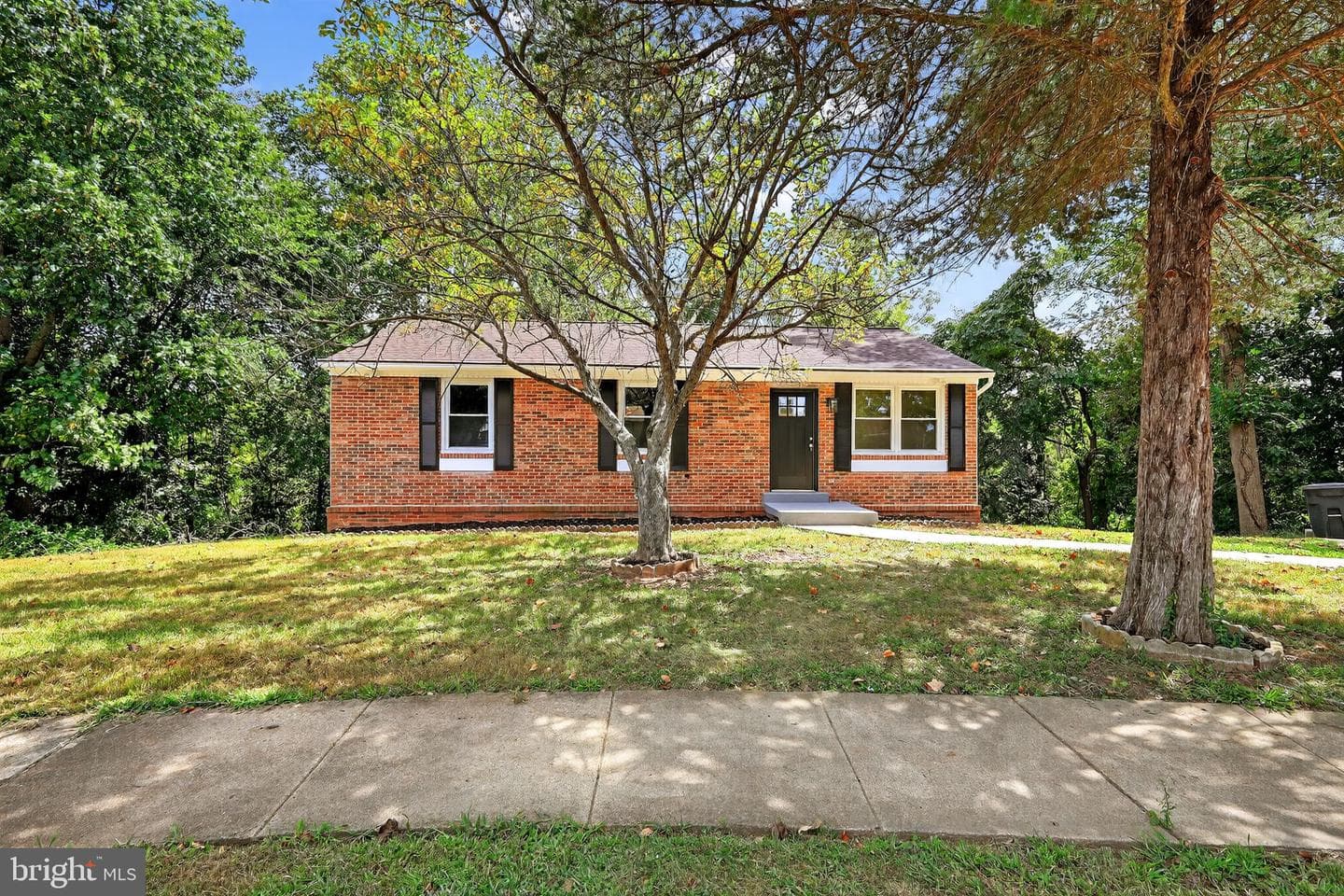 7410 Roanne Drive photo 1