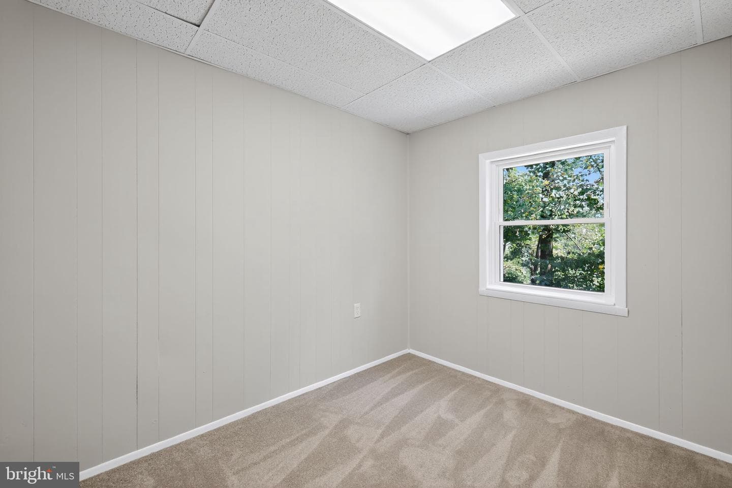 7410 Roanne Drive photo 13
