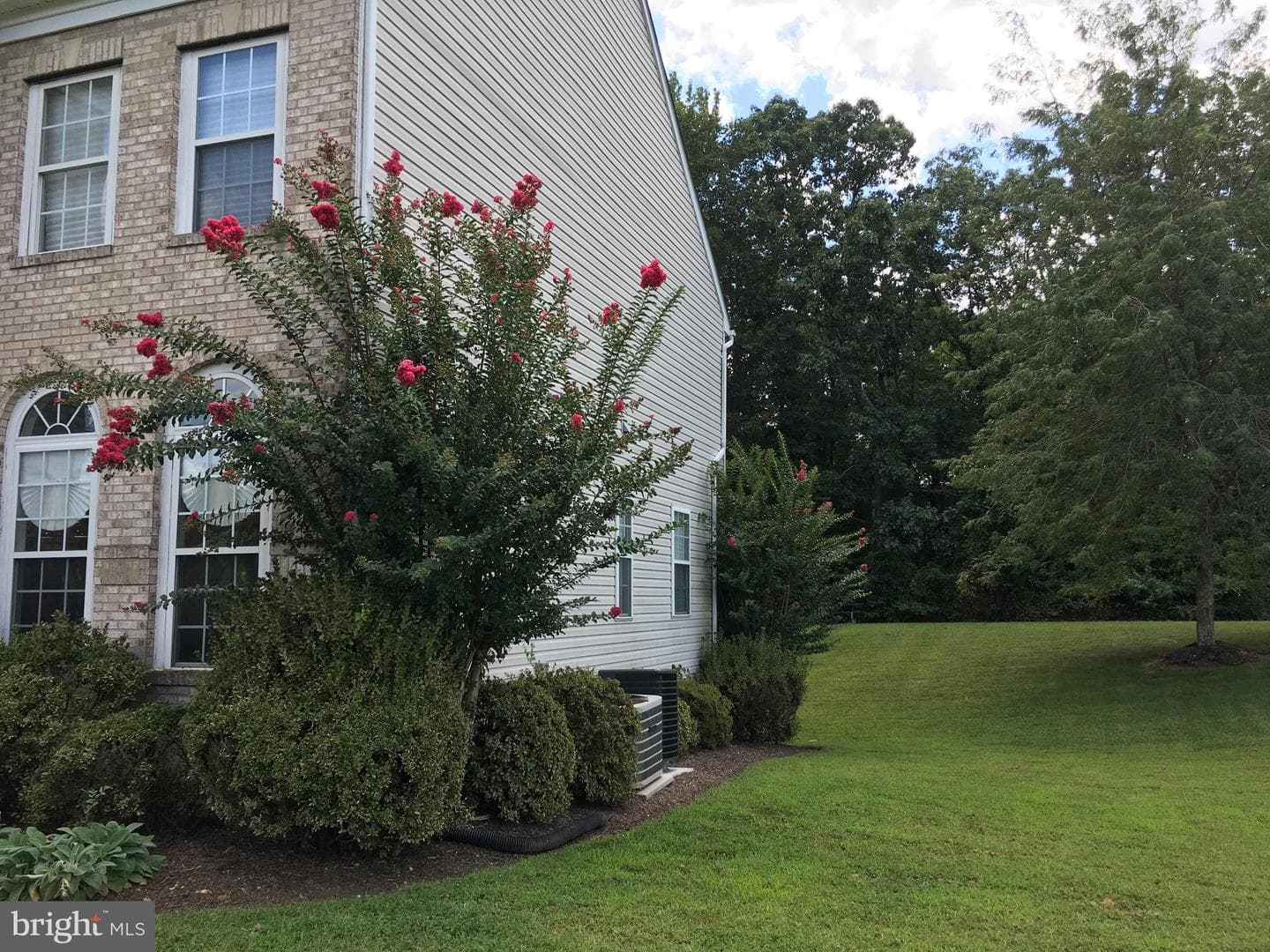 3919 Woodreed Drive photo 83
