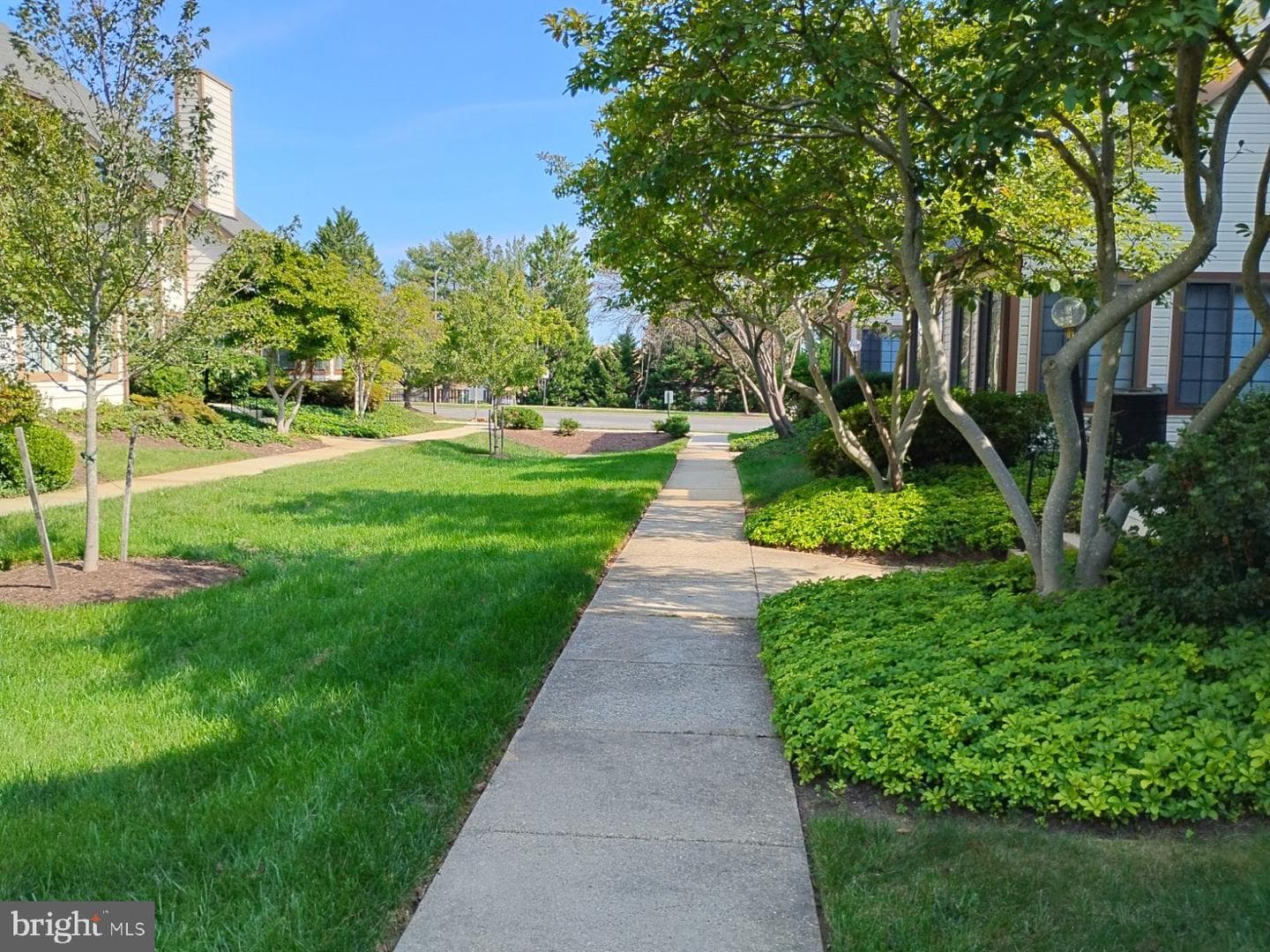 14007 Briston Street #10-E photo 18