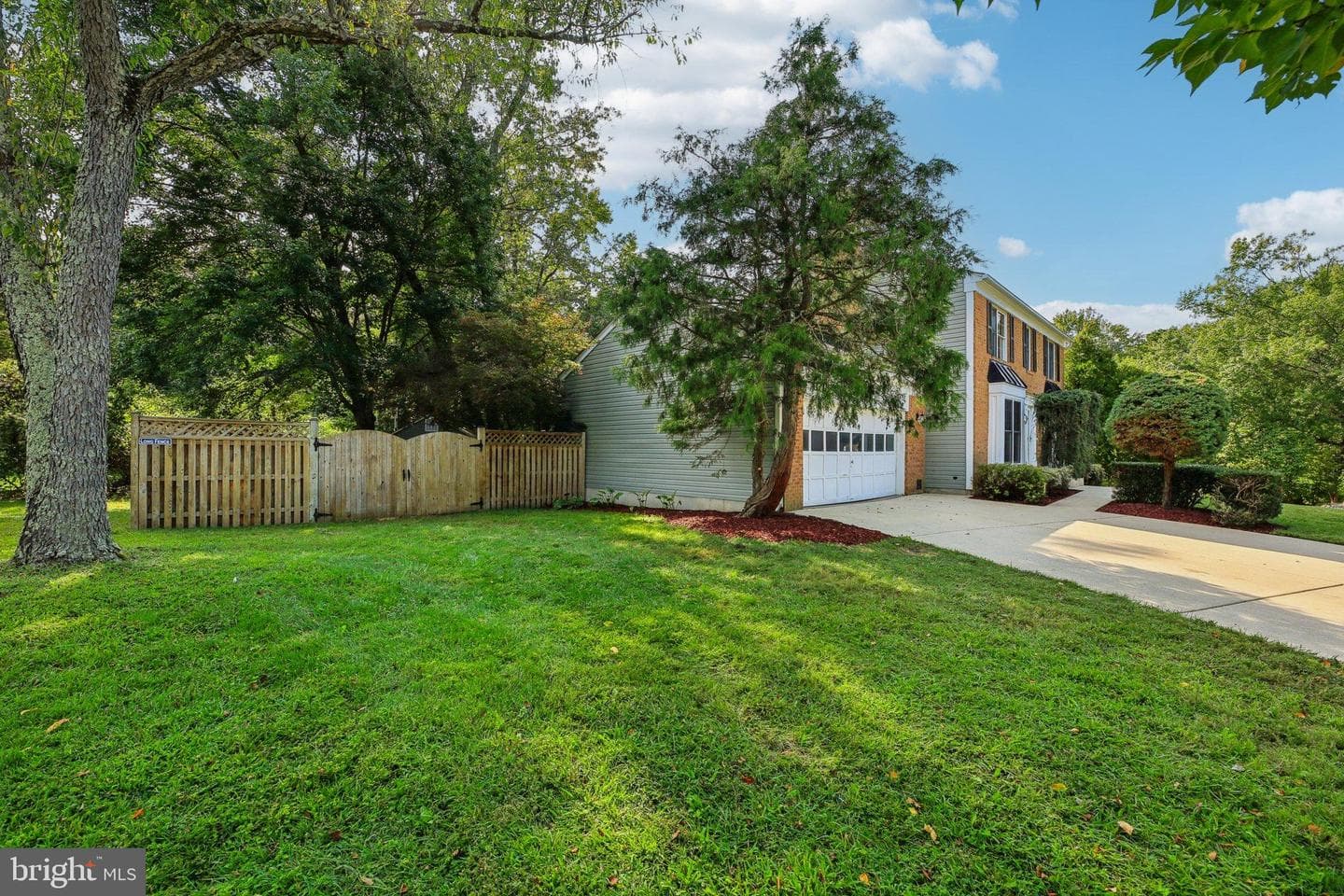 11718 Basswood Drive photo 4