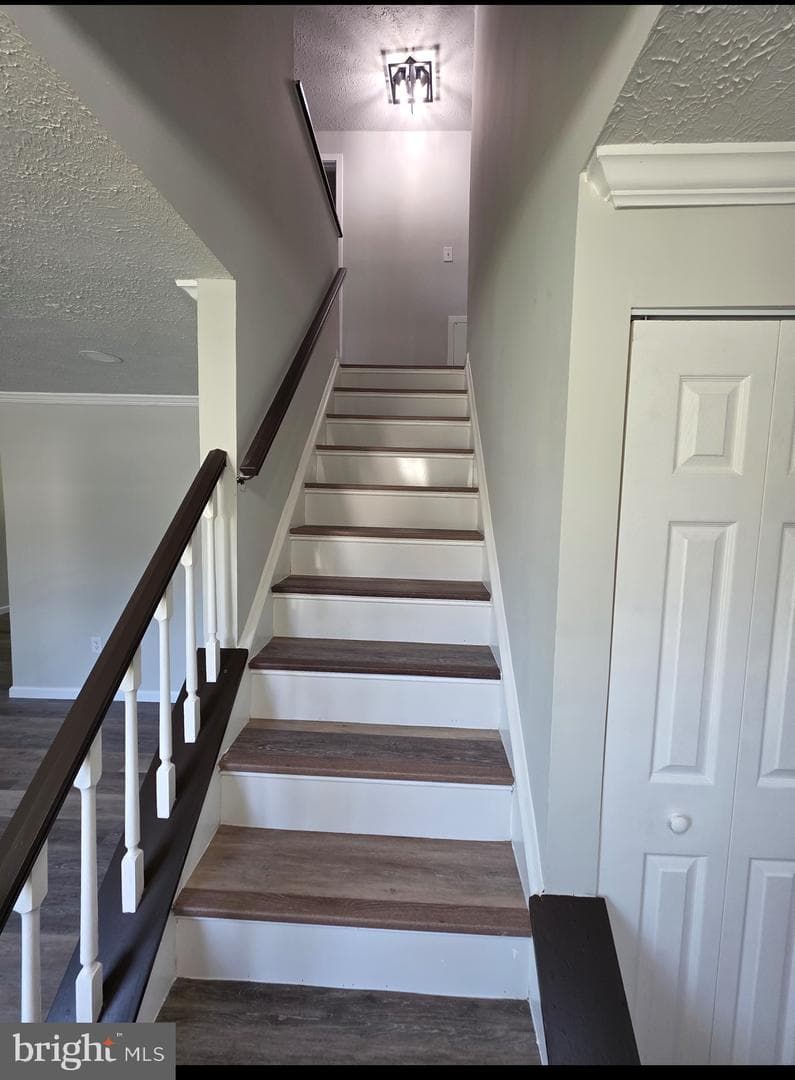 10402 Bald Hill Road photo 54
