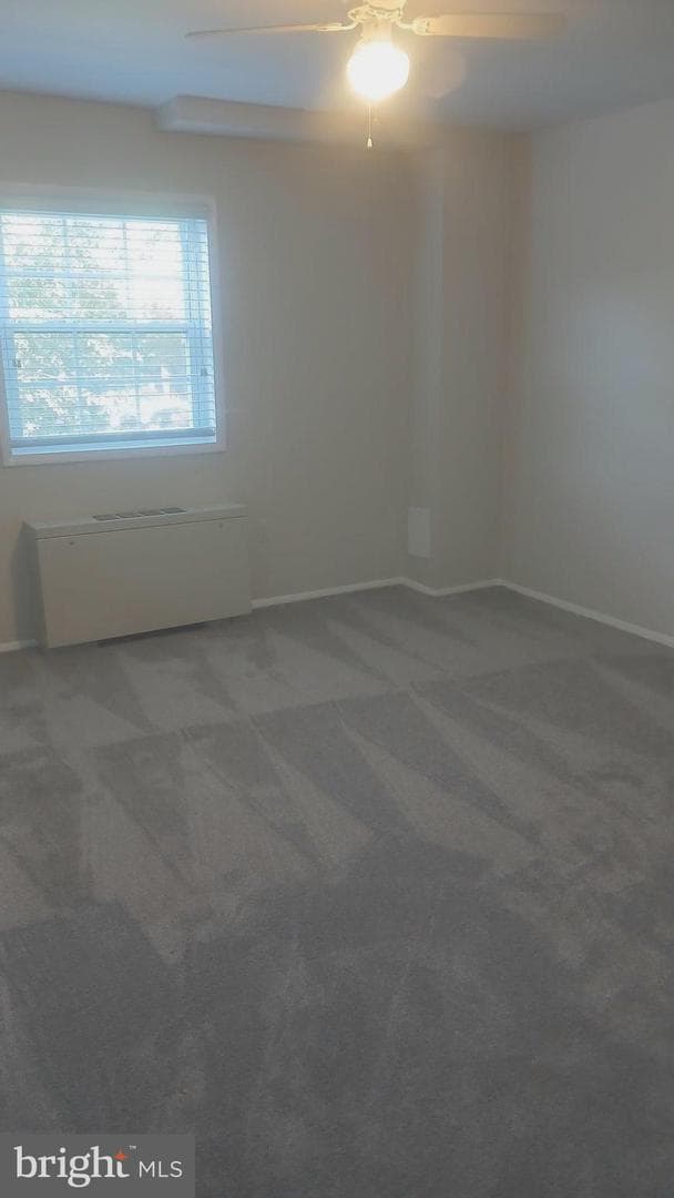 4421 Romlon Street #101 photo 16