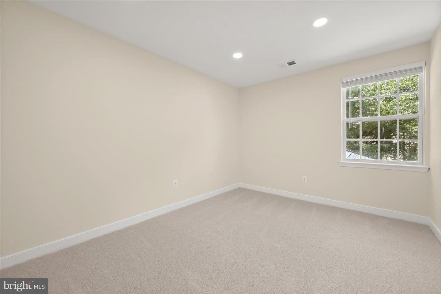 4314 Quanders Promise Drive photo 37