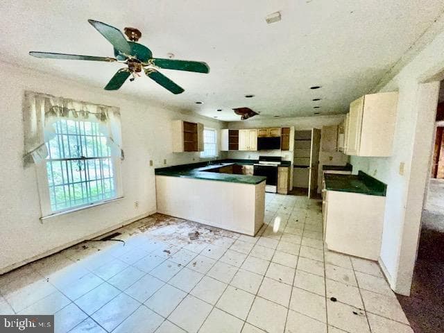 1103 Sandy Bar Drive photo 11